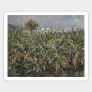 Field of Banana Trees by Auguste Renoir Magnet